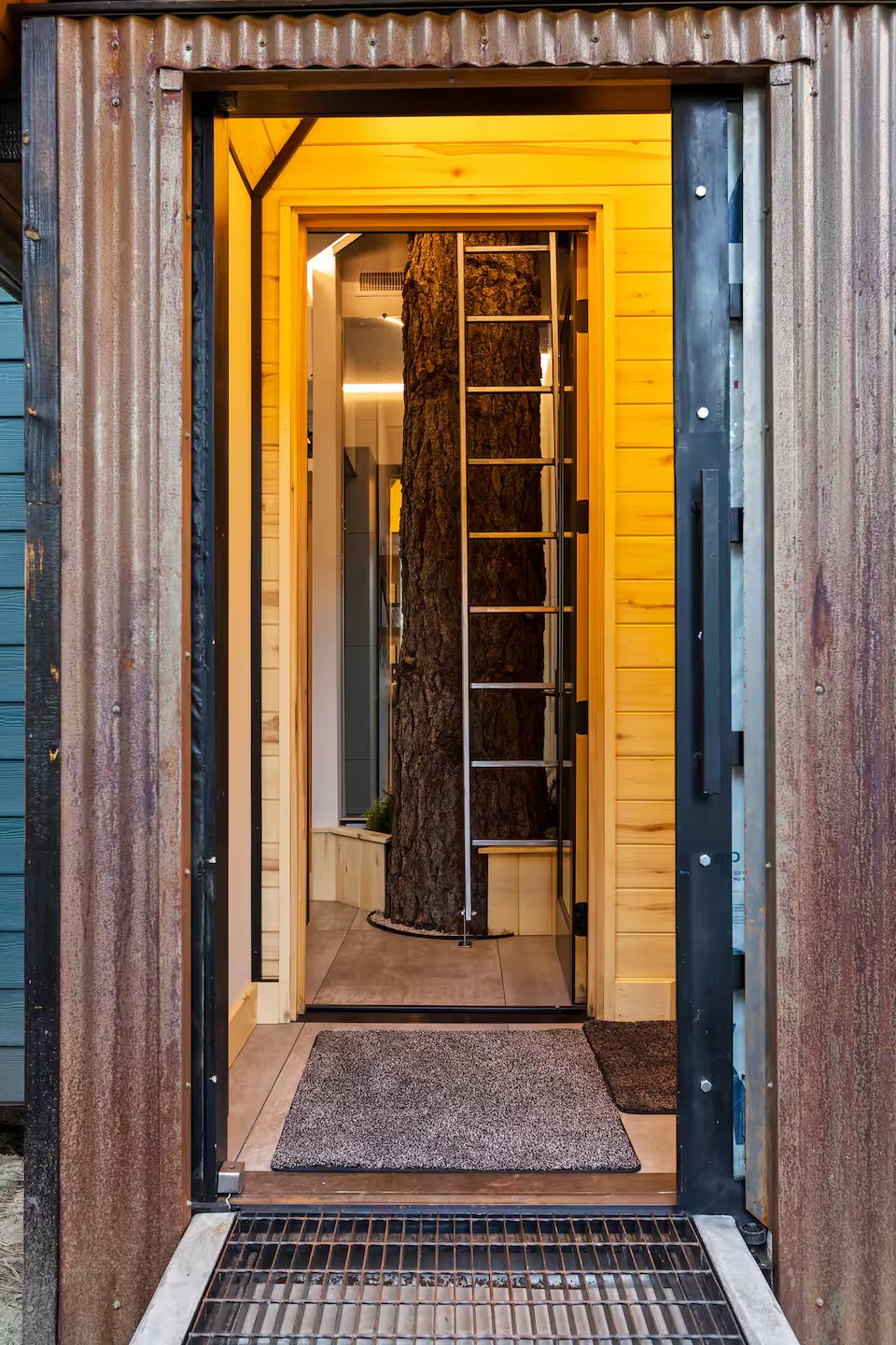 Front door showing the Mondo Pondo tree visible inside the treehouse