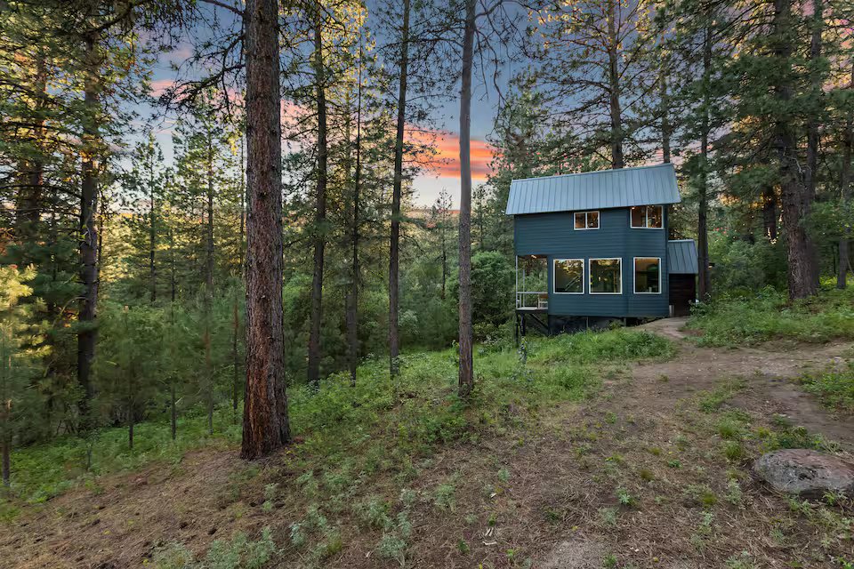 Banks Treehouse glowing through the forest at dusk, surrounded by Ponderosa pines
