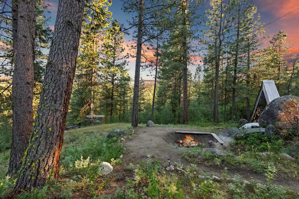 Wide view of the fire pit area and treehouse among Ponderosa pines on the 8-acre property
