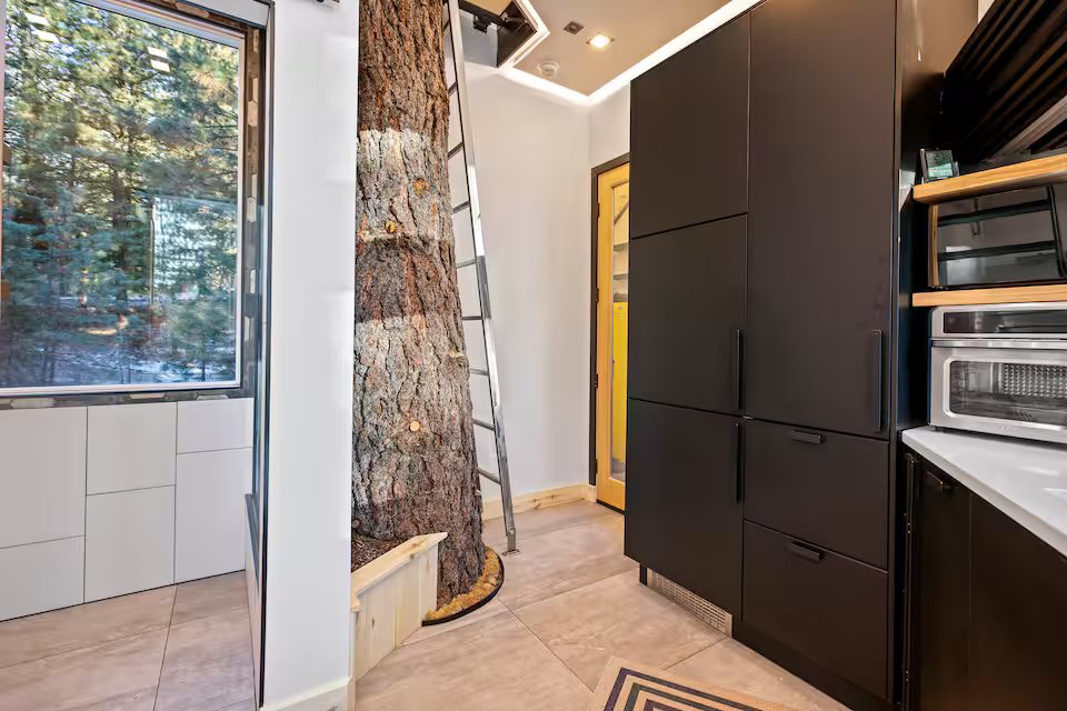 Kitchen showing tree trunk growing through the floor of Banks Treehouse with handcrafted cabinets