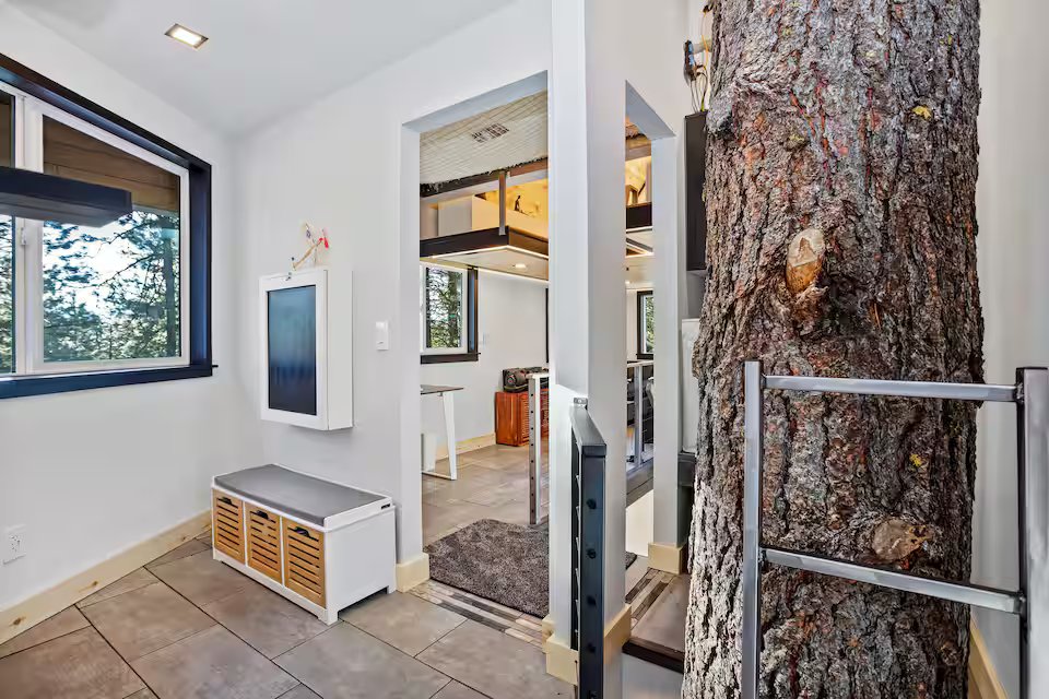 Mondo Pondo tree framed by the entryway of the treehouse